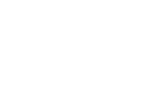 Logo Stanley Stella official dealer