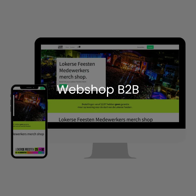 B2B webshops
